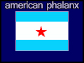 the american phalanx